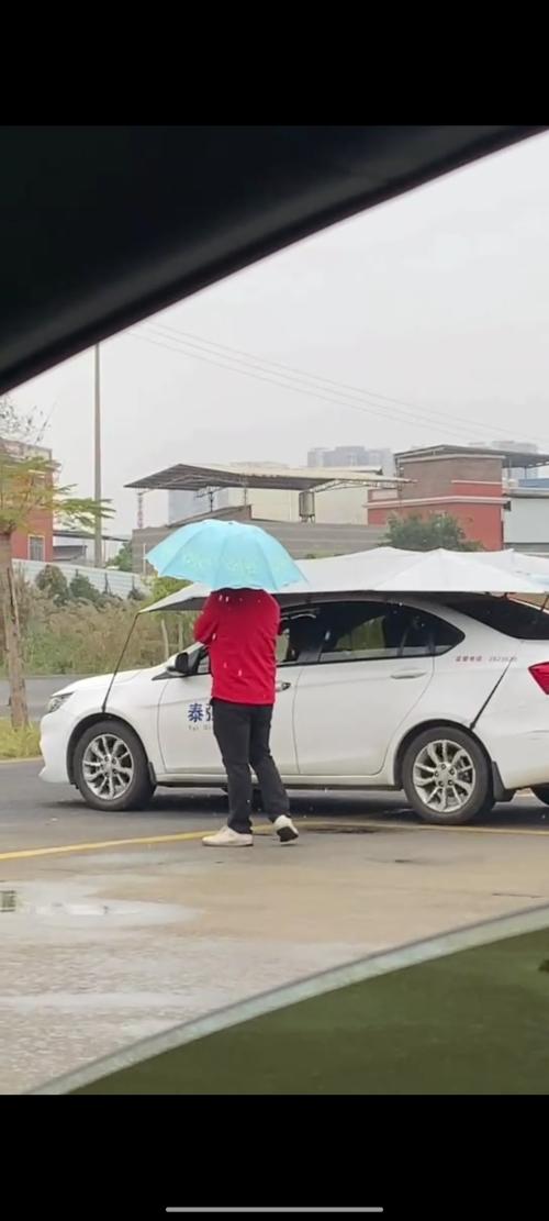 漳州泰强驾校,驾校学车,学车,泉州,晋江,小车培训,考驾照