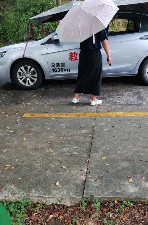 漳州泰强驾校,驾校学车,学车,泉州,晋江,小车培训,考驾照